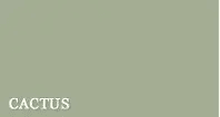 Cactus