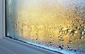 Windows and Condensation